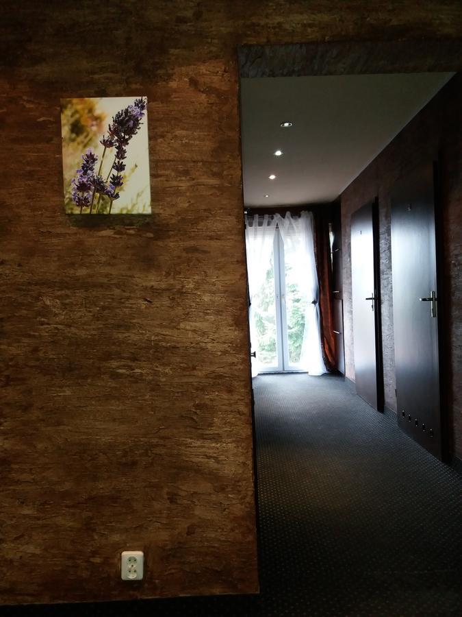 Lawendowy Hostel Краків Екстер'єр фото